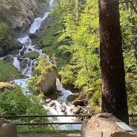 Falke 2 Am Wasserfall * Unterbach (Bern)